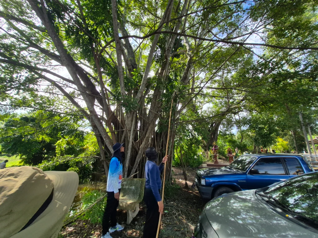 catalogs_file_187_56_59_876506.webp