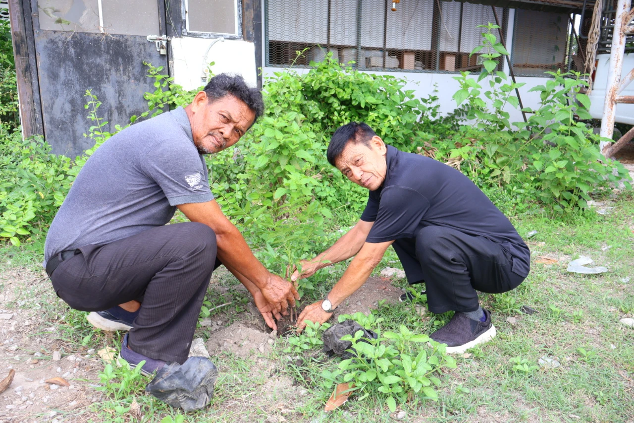 catalogs_file_440_9_49_744525.webp