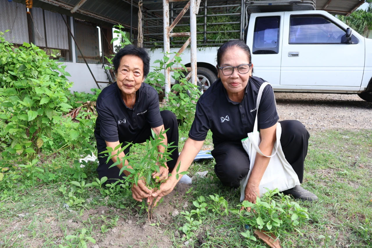catalogs_file_440_9_49_751876.webp