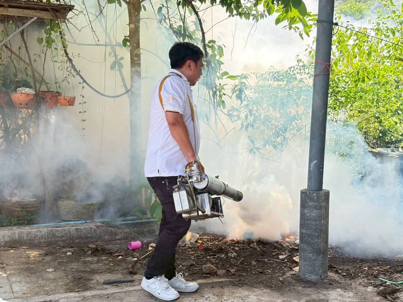 catalogs_file_475_58_57_956233.webp