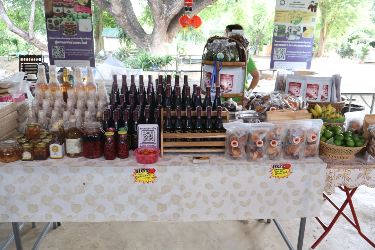 catalogs_file_532_45_24_31052.webp
