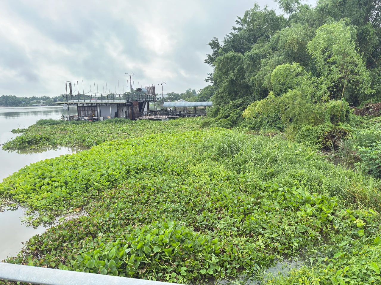 catalogs_file_545_12_14_839483.webp